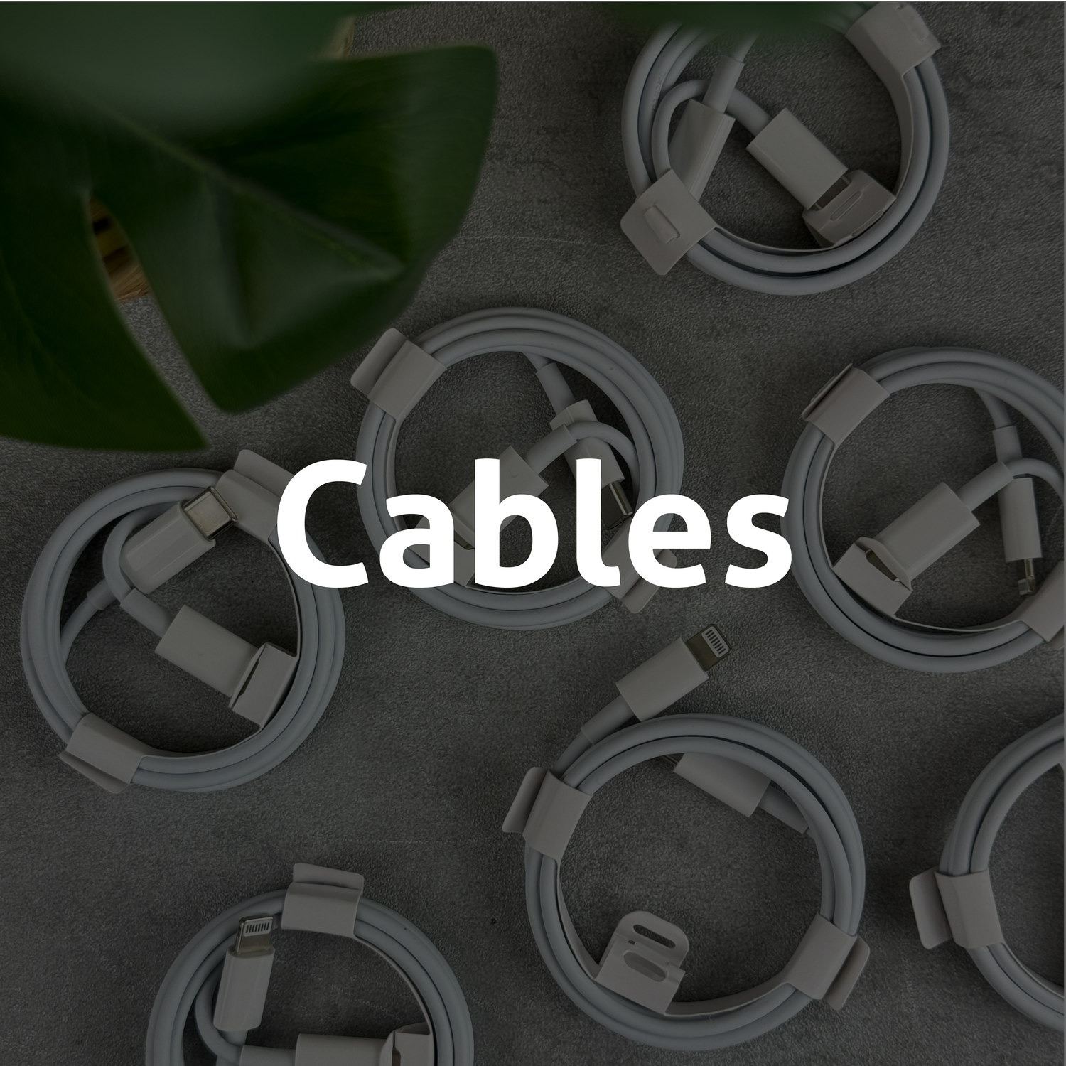 Charging Cables