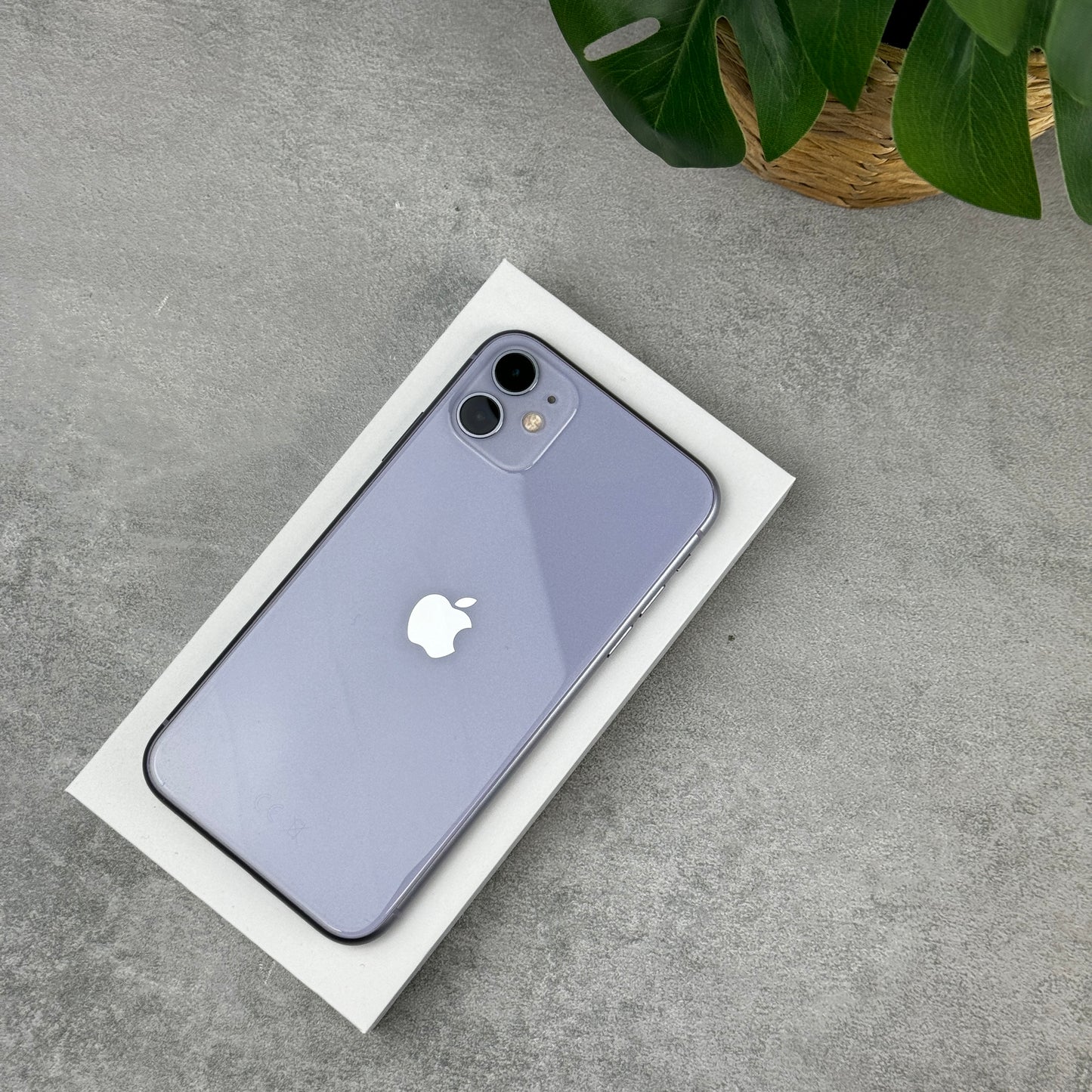 Apple iPhone 11 in Purple