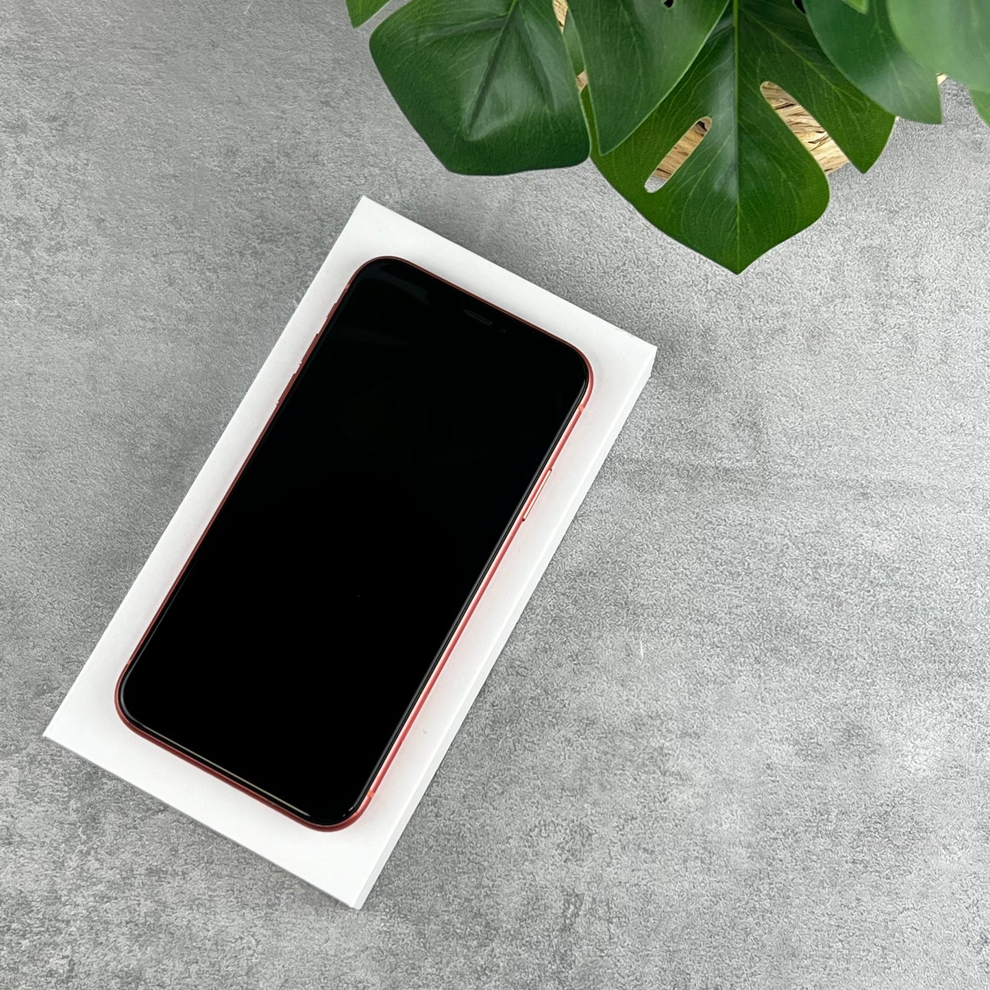 Apple iPhone XR in Coral