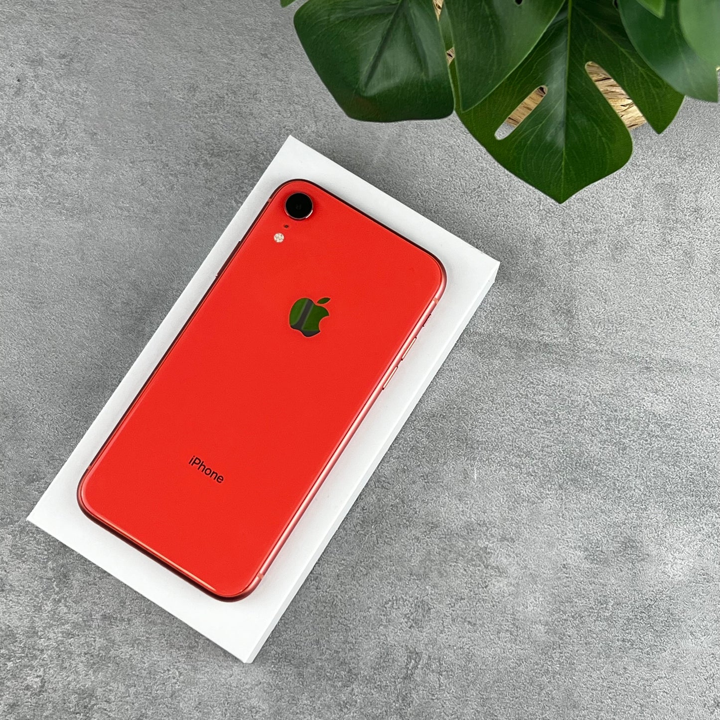 Apple iPhone XR in Coral