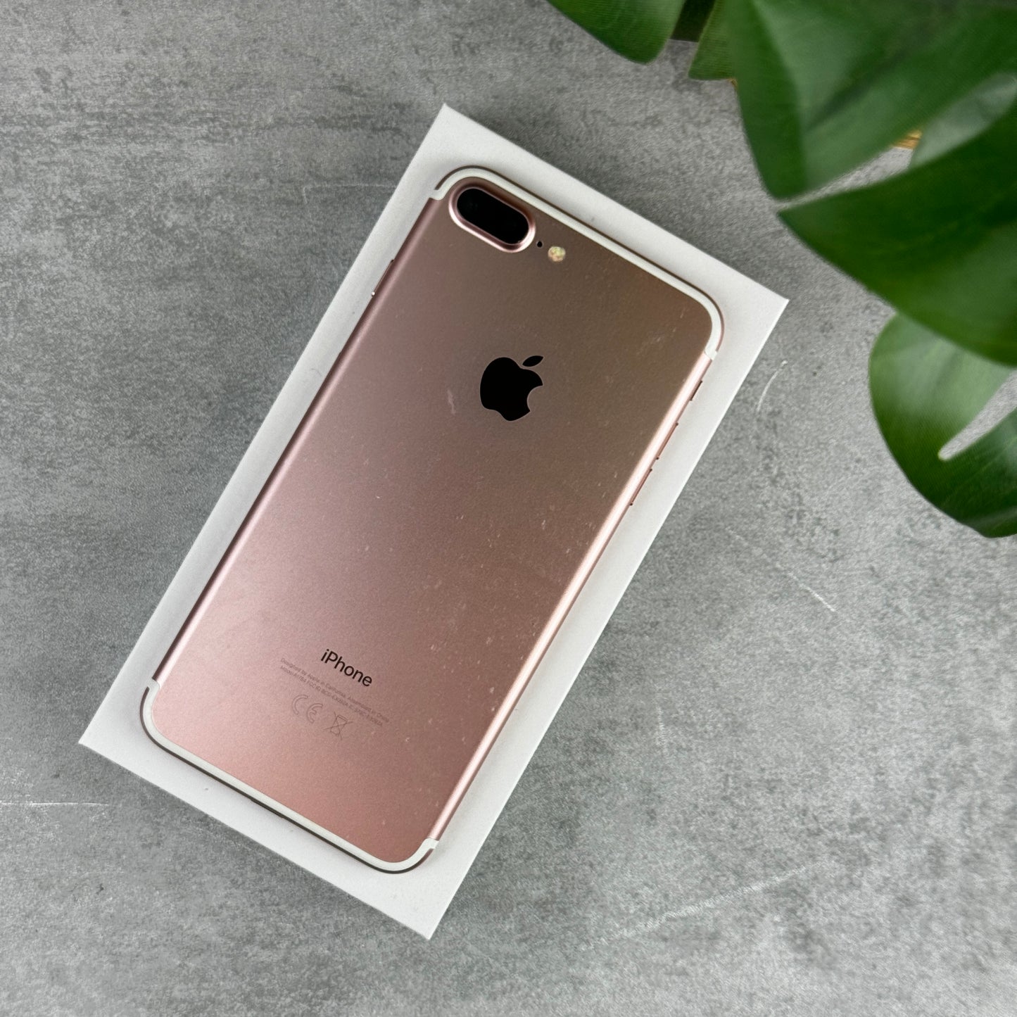 Apple iPhone 7 Plus in Rose Gold