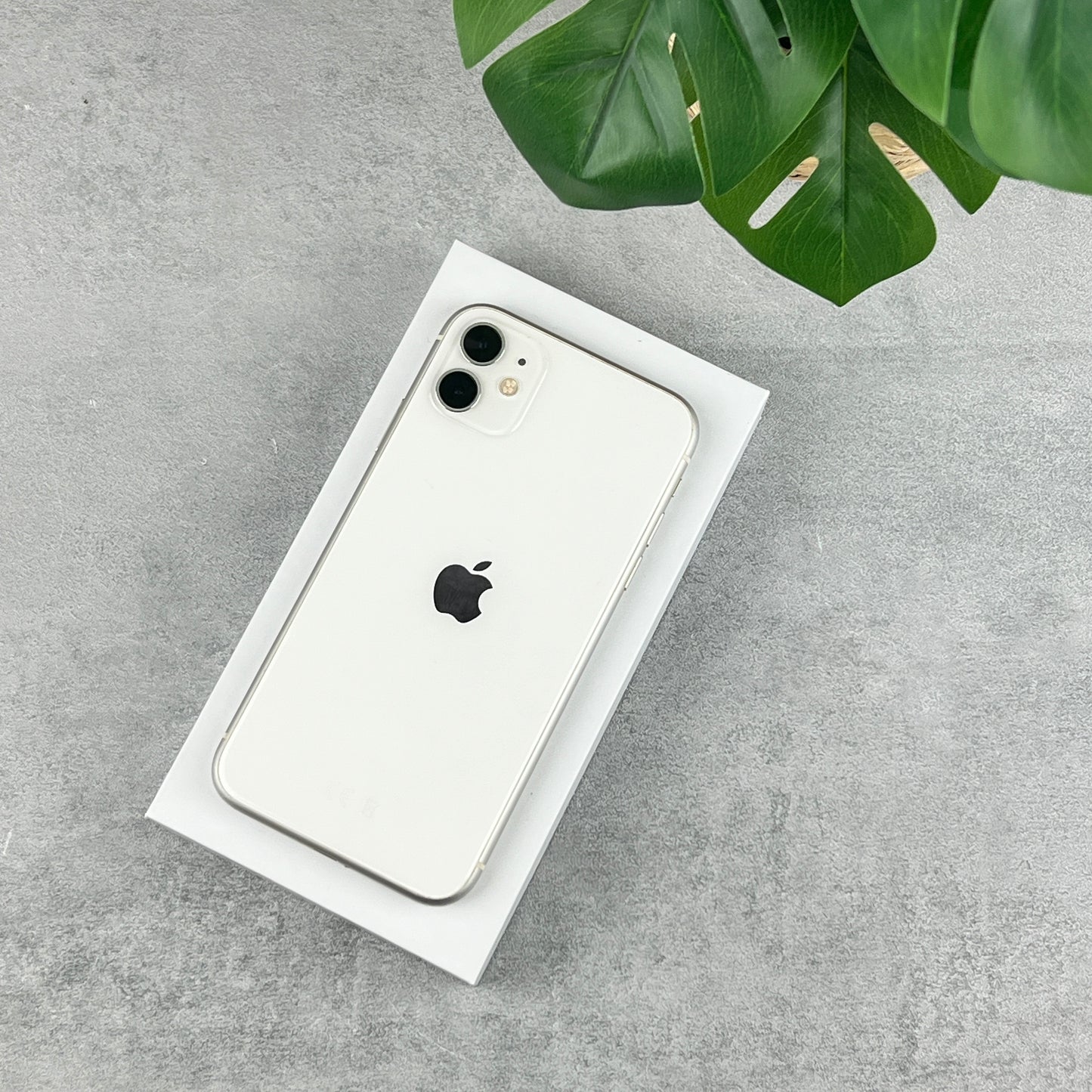 Apple iPhone 11 in White